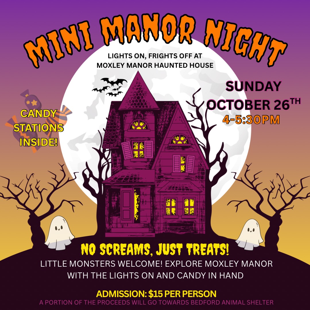 Mini Manor Night